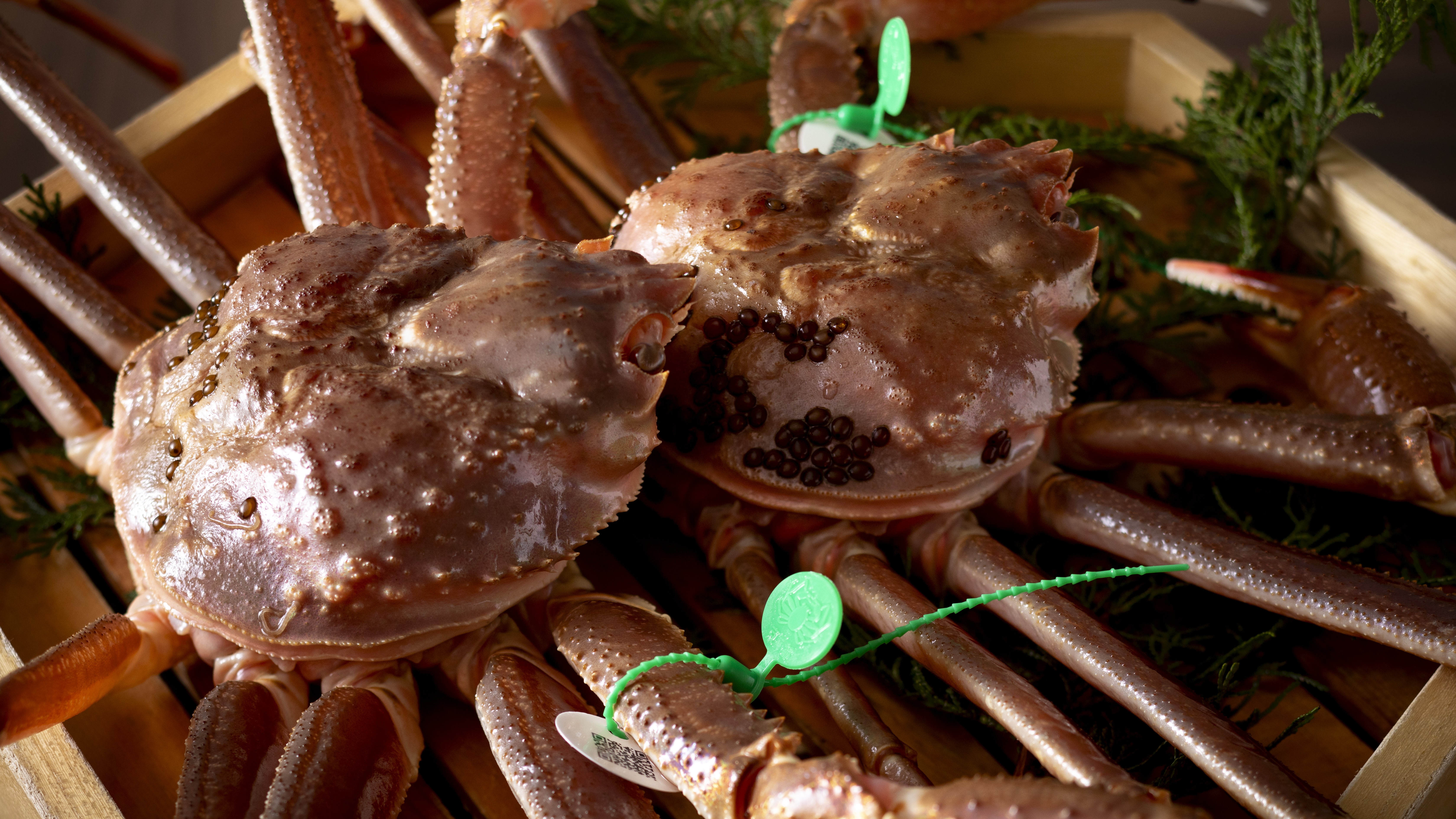 【冬・間人ガニ】この時期にしか味わえない、冬の味覚の王様・間人ガニを堪能。