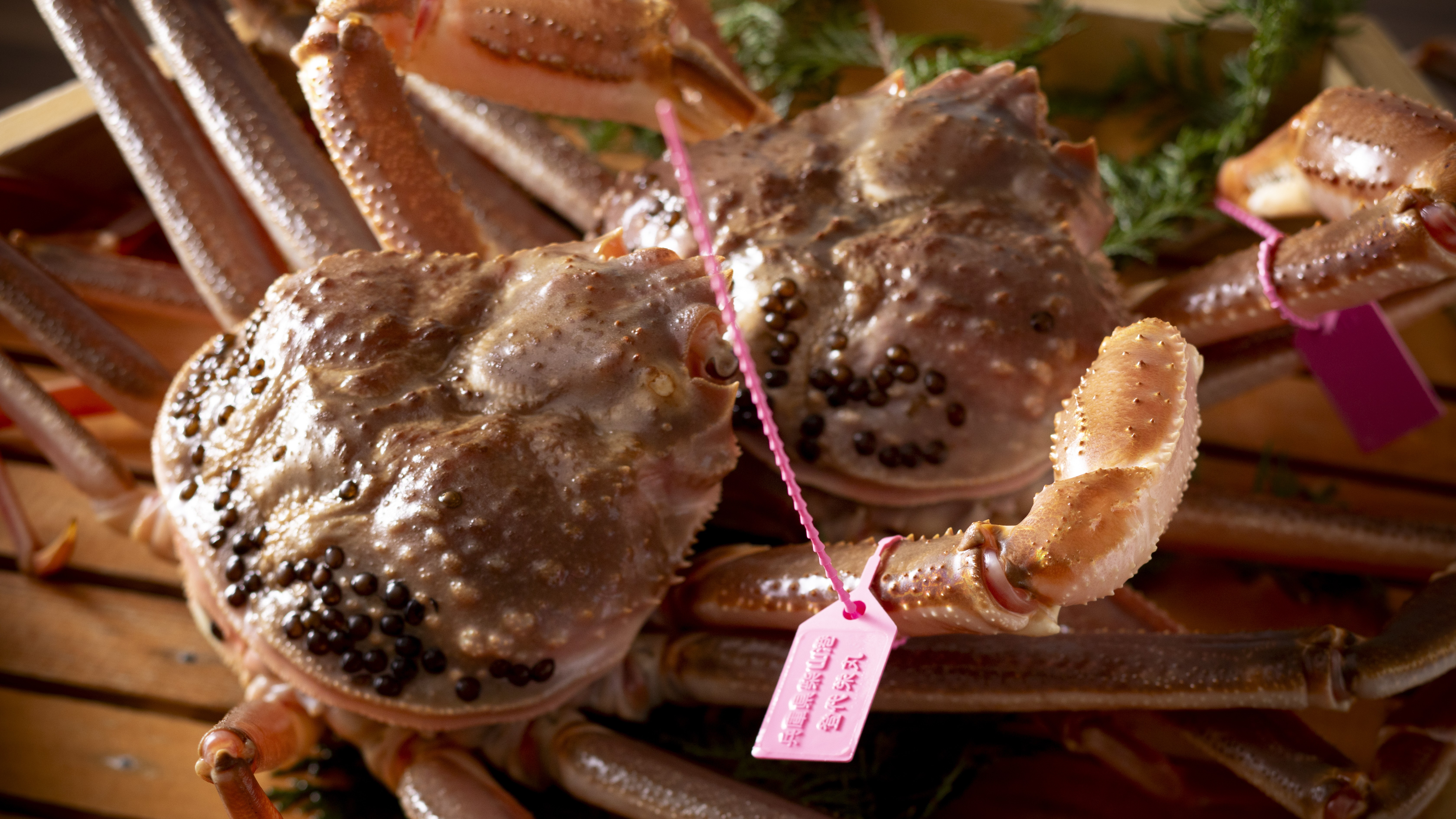 【冬・松葉ガニ】この時期にしか味わえない、冬の味覚の王様・松葉ガニを堪能。