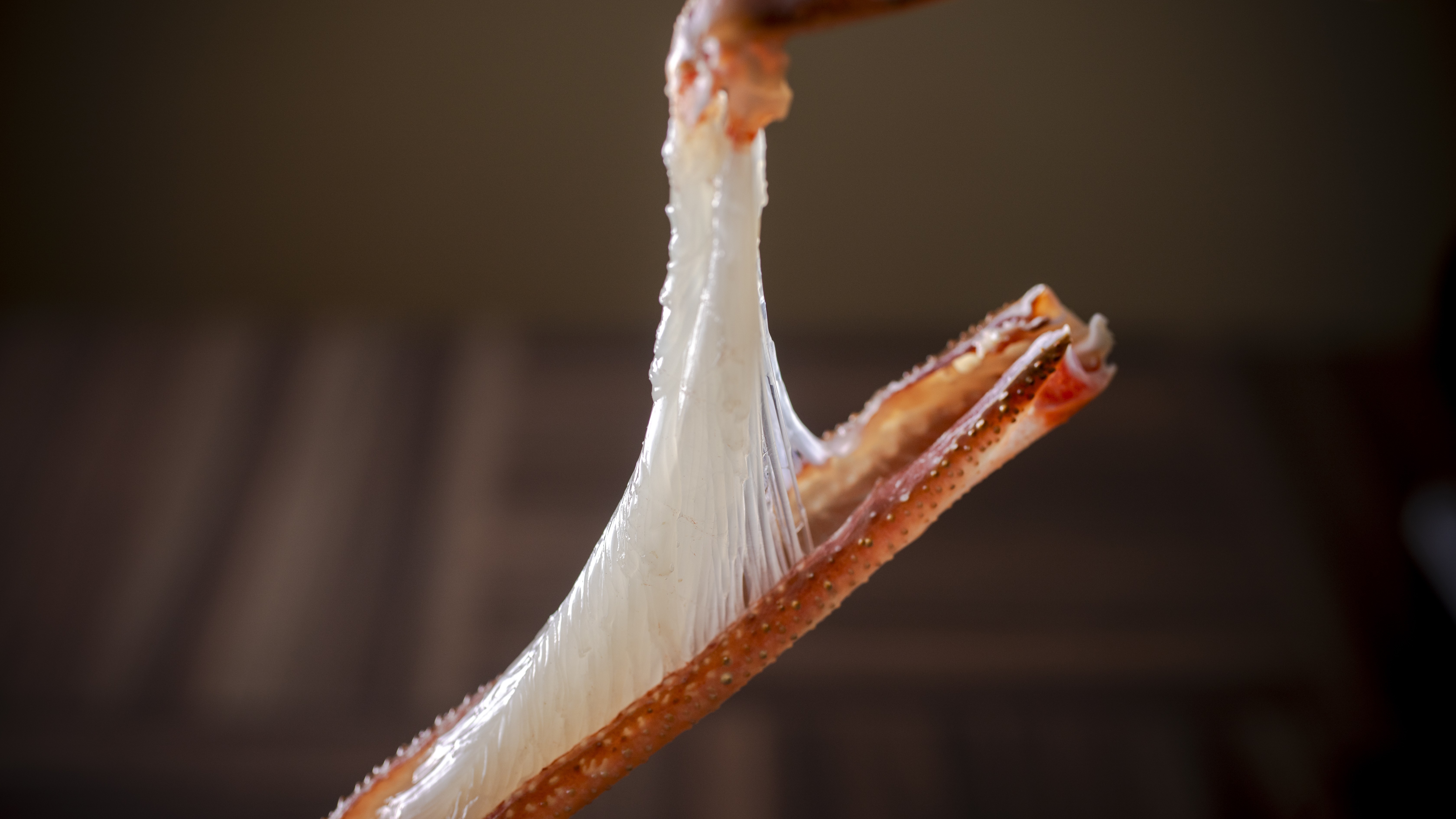 【冬・活カニ刺し】活ガニ「カニ刺し」は、繊細な身の繊維がほどけるようにとろけ、甘みと旨みが広がる。