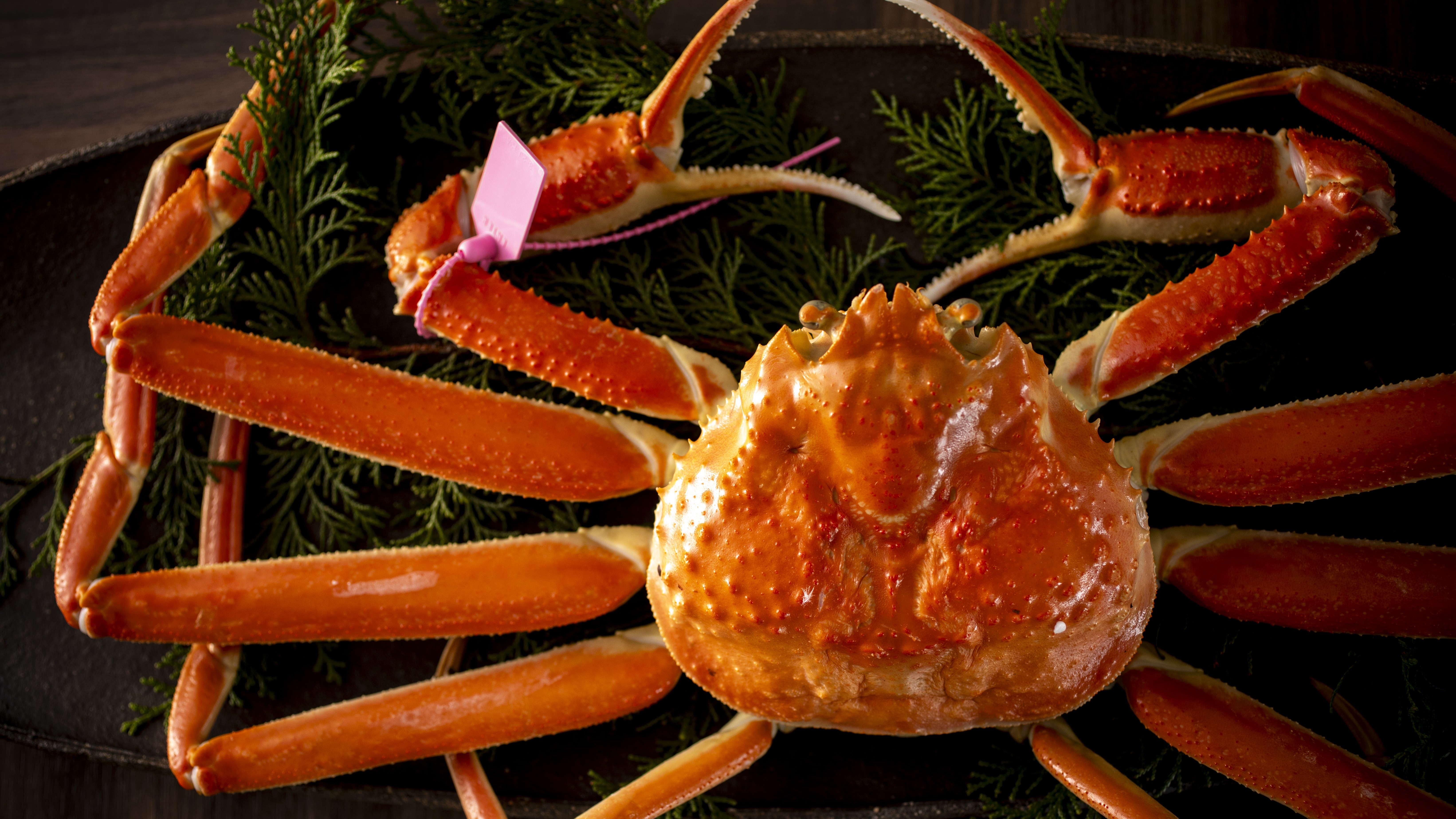 【冬・茹でガニ】冬の味覚の王様・松葉ガニを茹で上げ、素材本来の甘みと旨みを引き出した、冬の贅沢を。