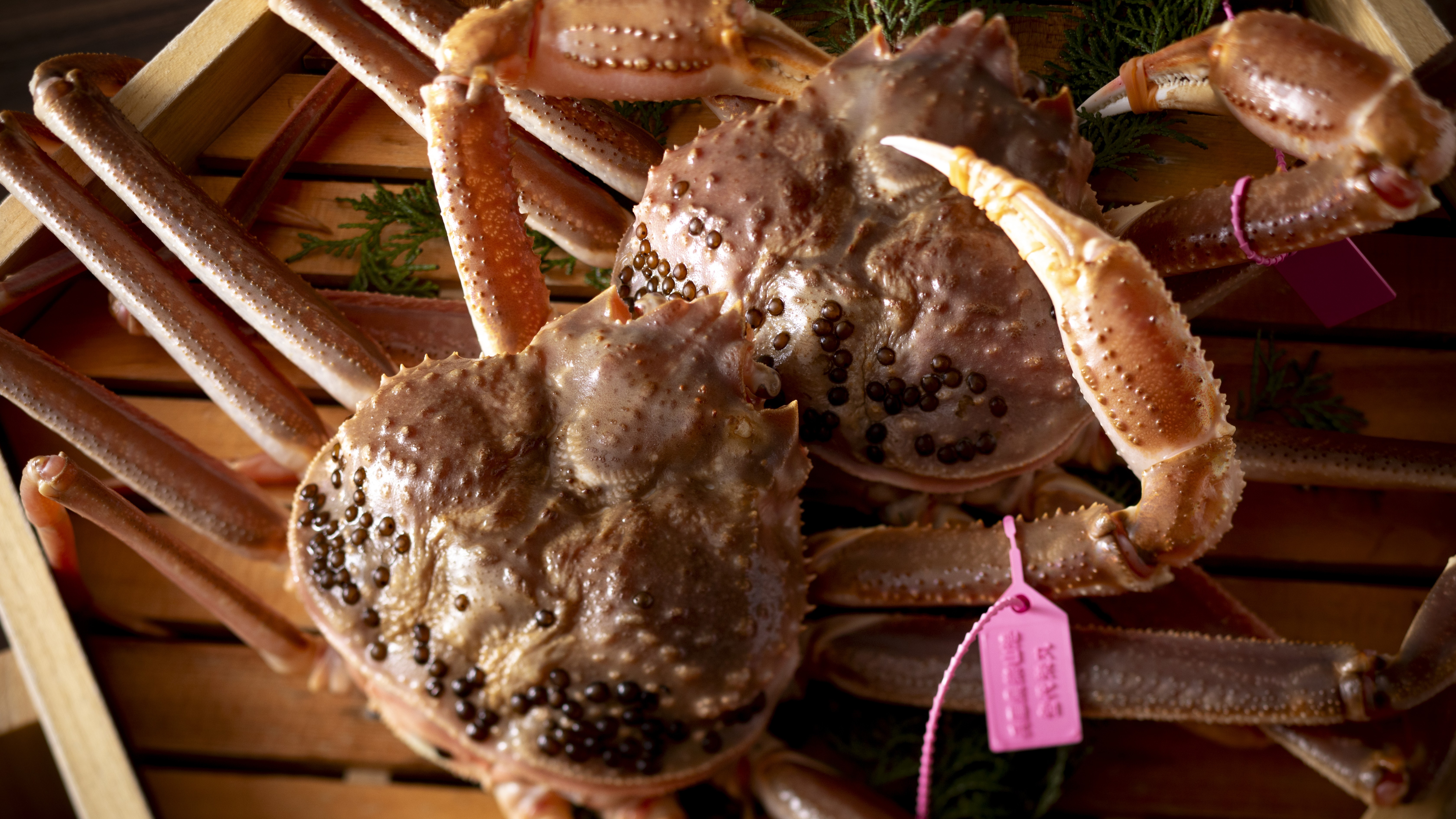 【冬・松葉ガニ】この時期にしか味わえない、冬の味覚の王様・松葉ガニを堪能。