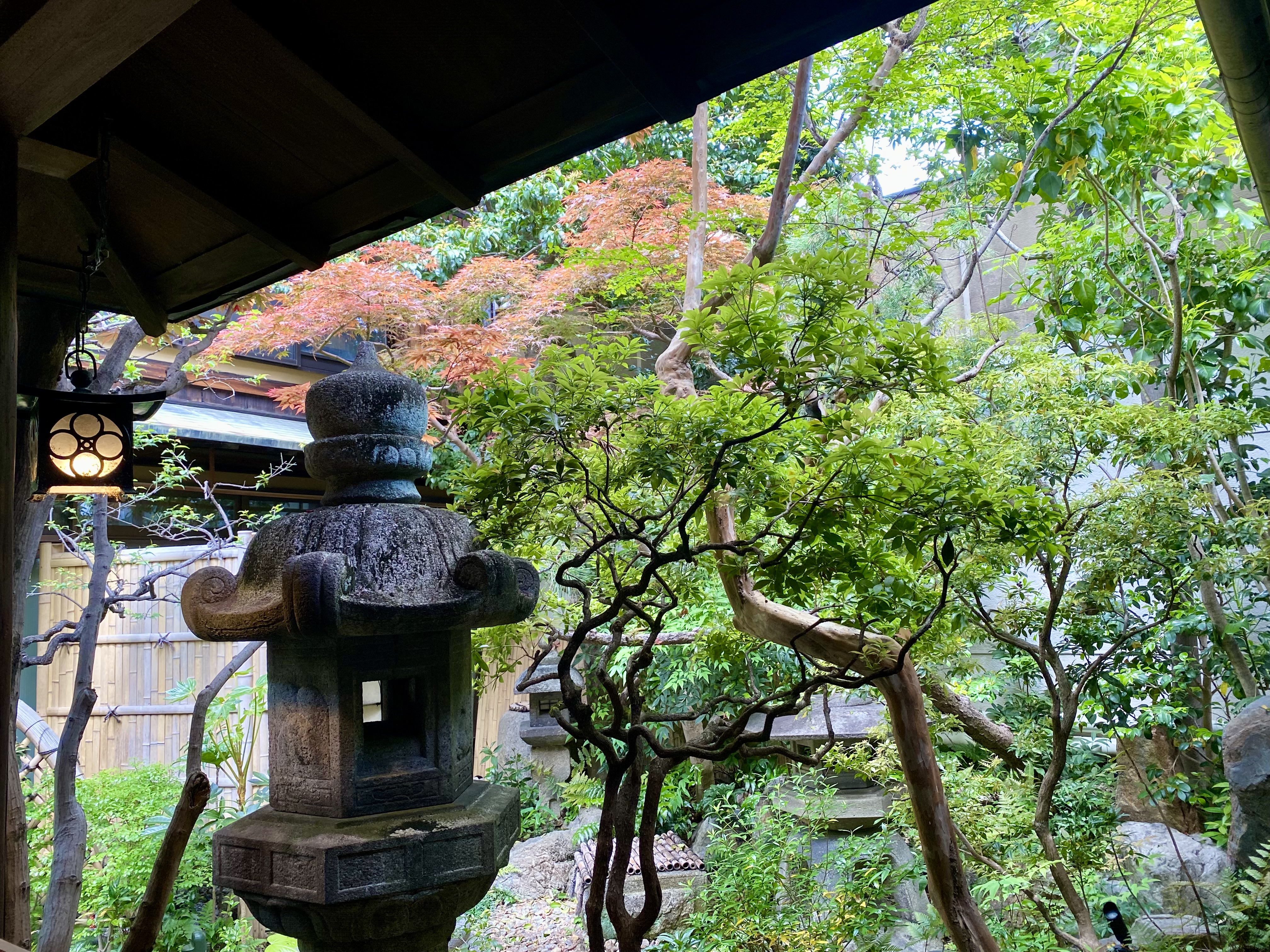 ■中庭■