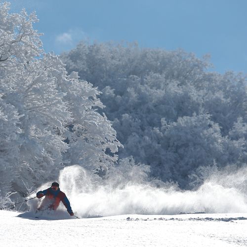 オフピステゾーン