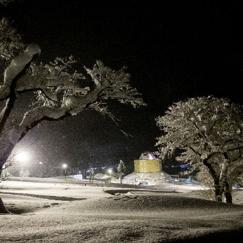 幻想的な雪の世界へ