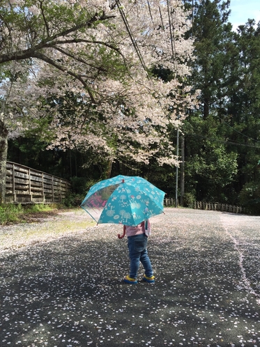 石神の里