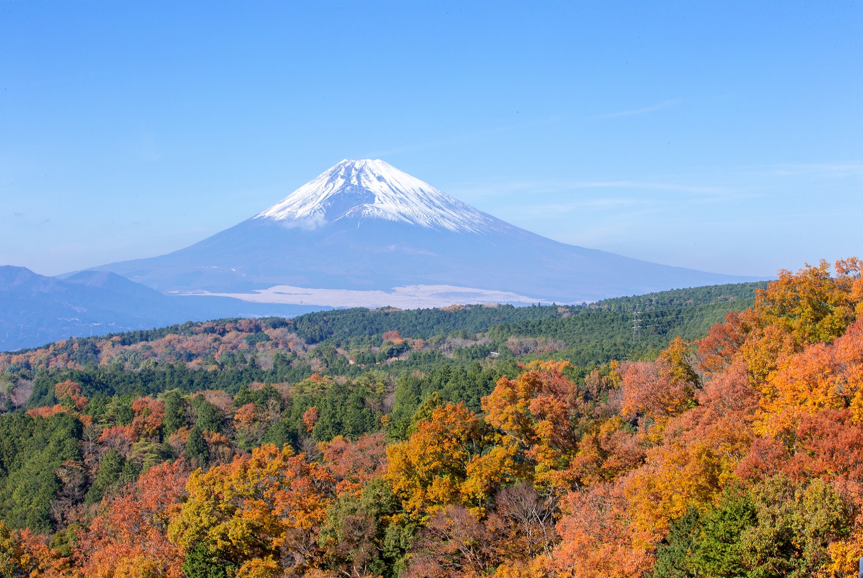 【紅葉シーズン】箱根ロープウェイから望む紅葉と富士山（11月頃）