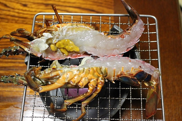 写真4