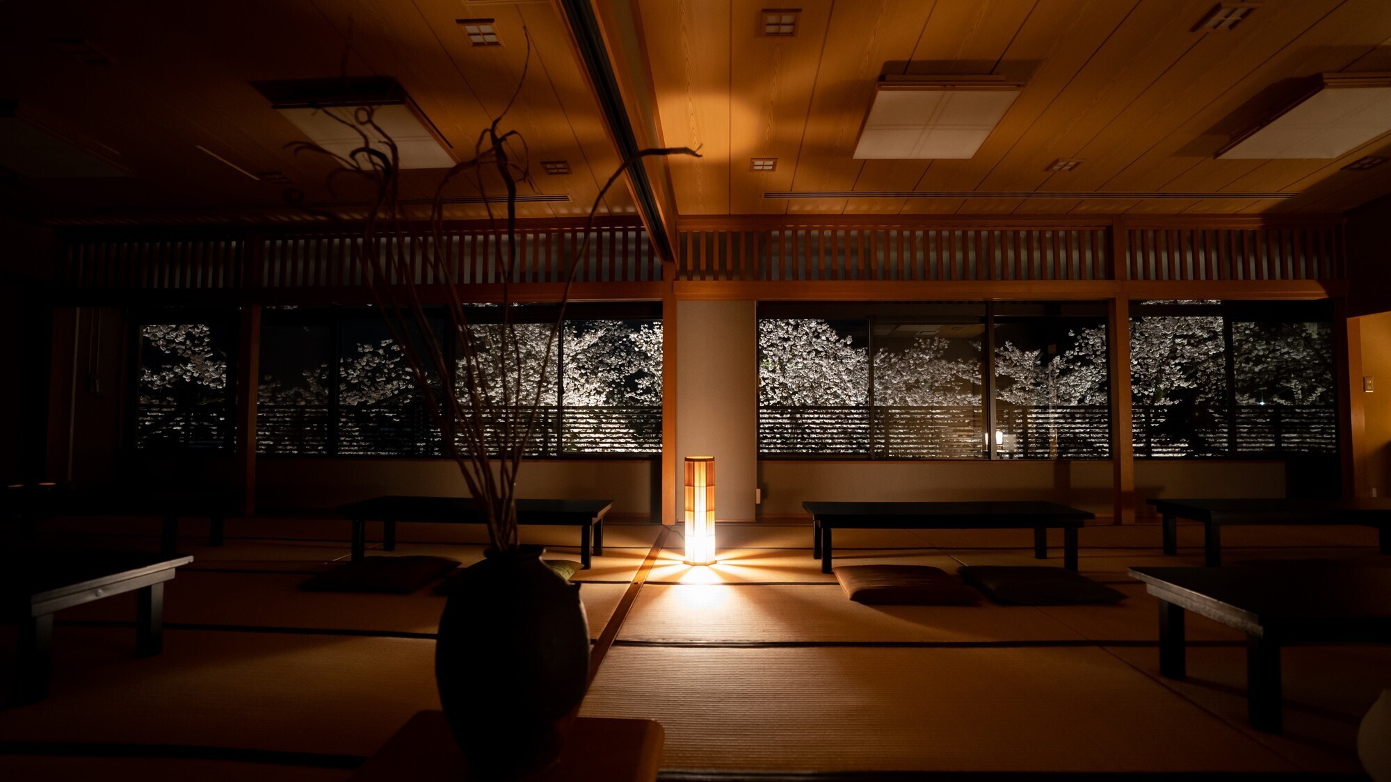 【施設】樹齢約50年の桜の木をご覧いただけます