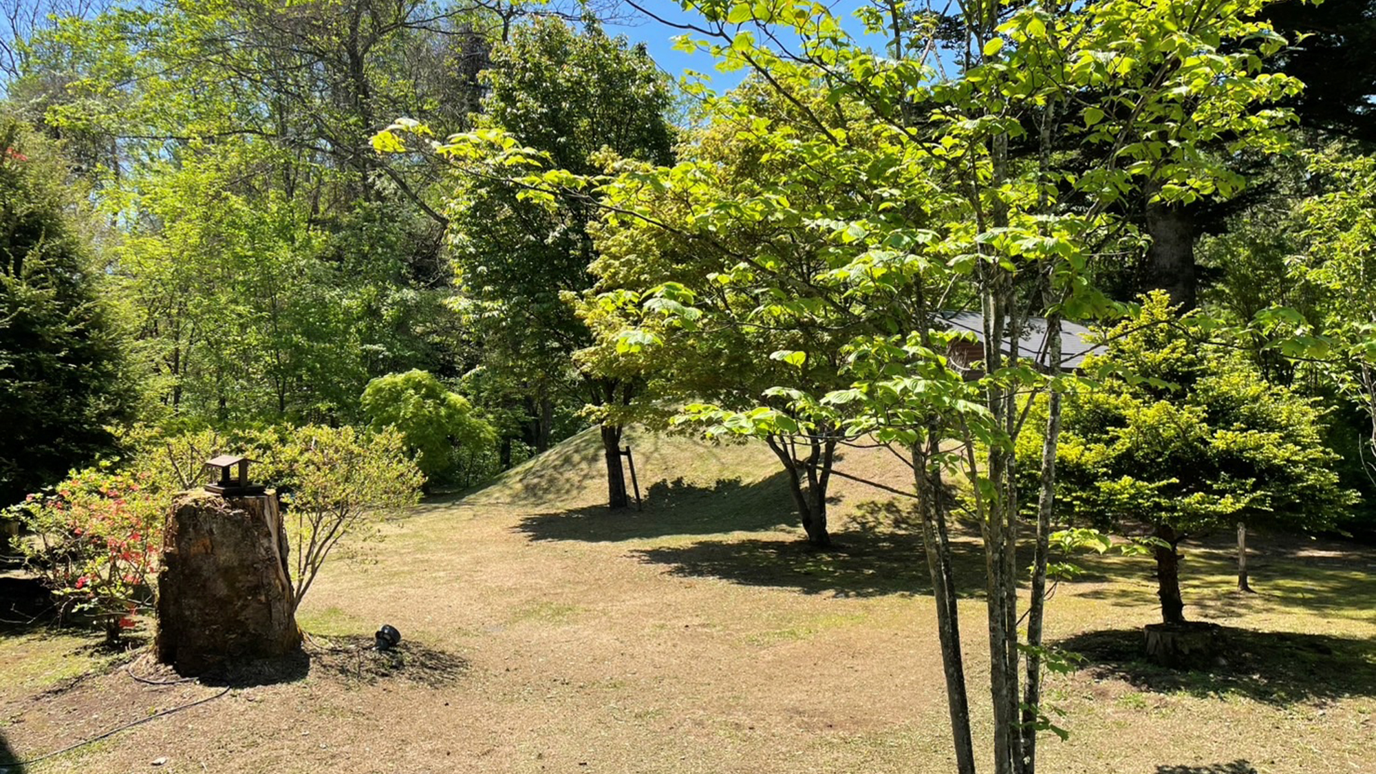 四季の移ろいを感じられるプライベートな庭です