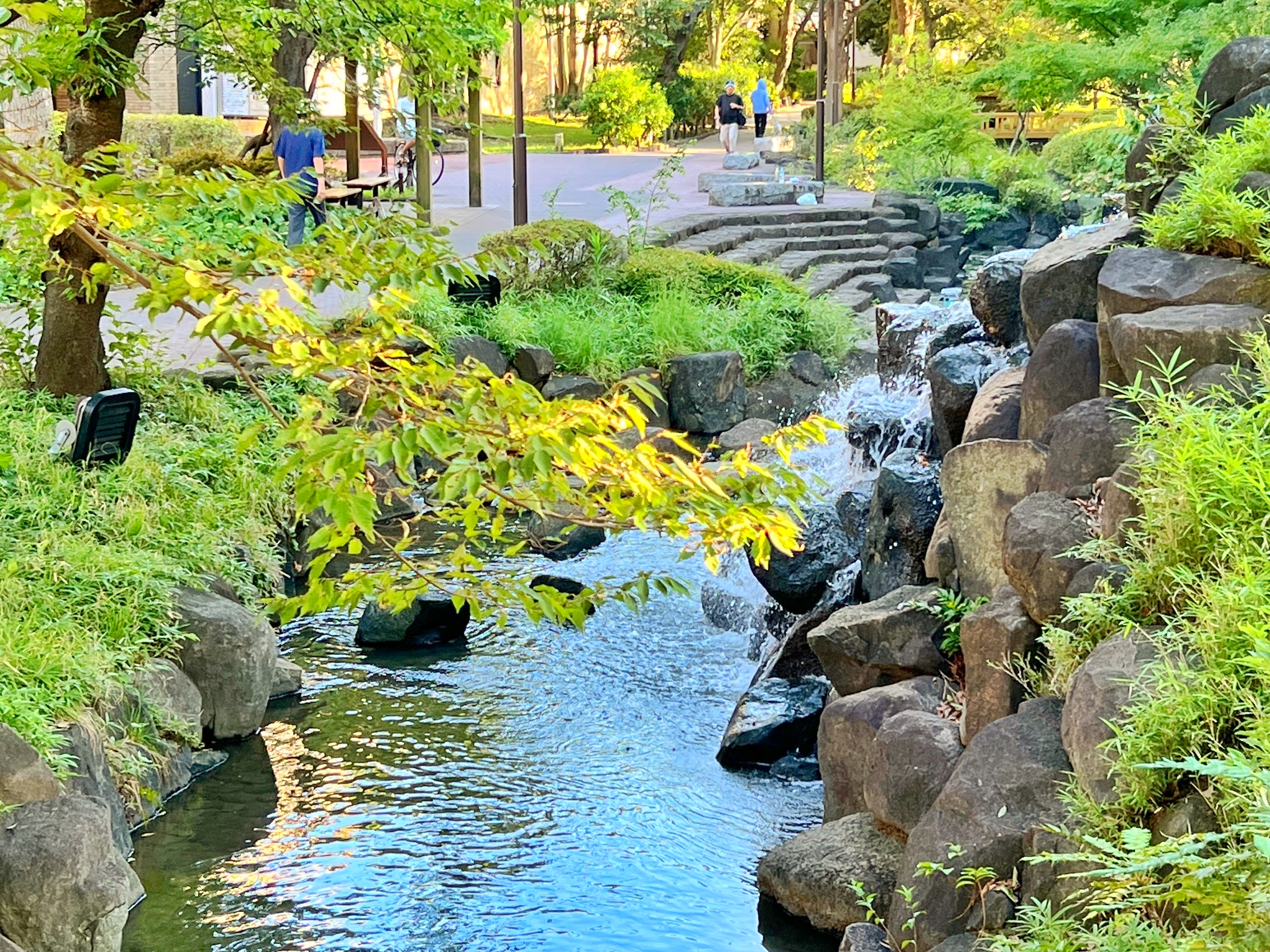 近くの親水公園