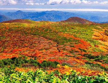 【素泊まり】＜紅葉プラン＞『神の絨毯』で紅葉狩の後は温泉で疲労回復 