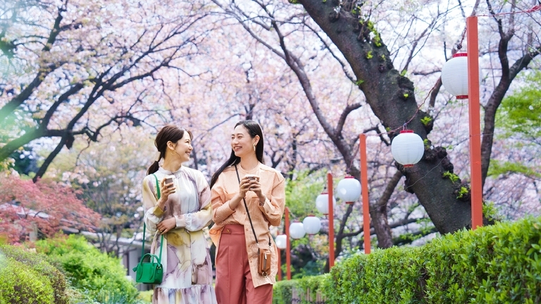 【春季限定】Sakura View Stay 都心の旅館で桜を愛でる旅（朝食＆ラウンジ利用特典付き）