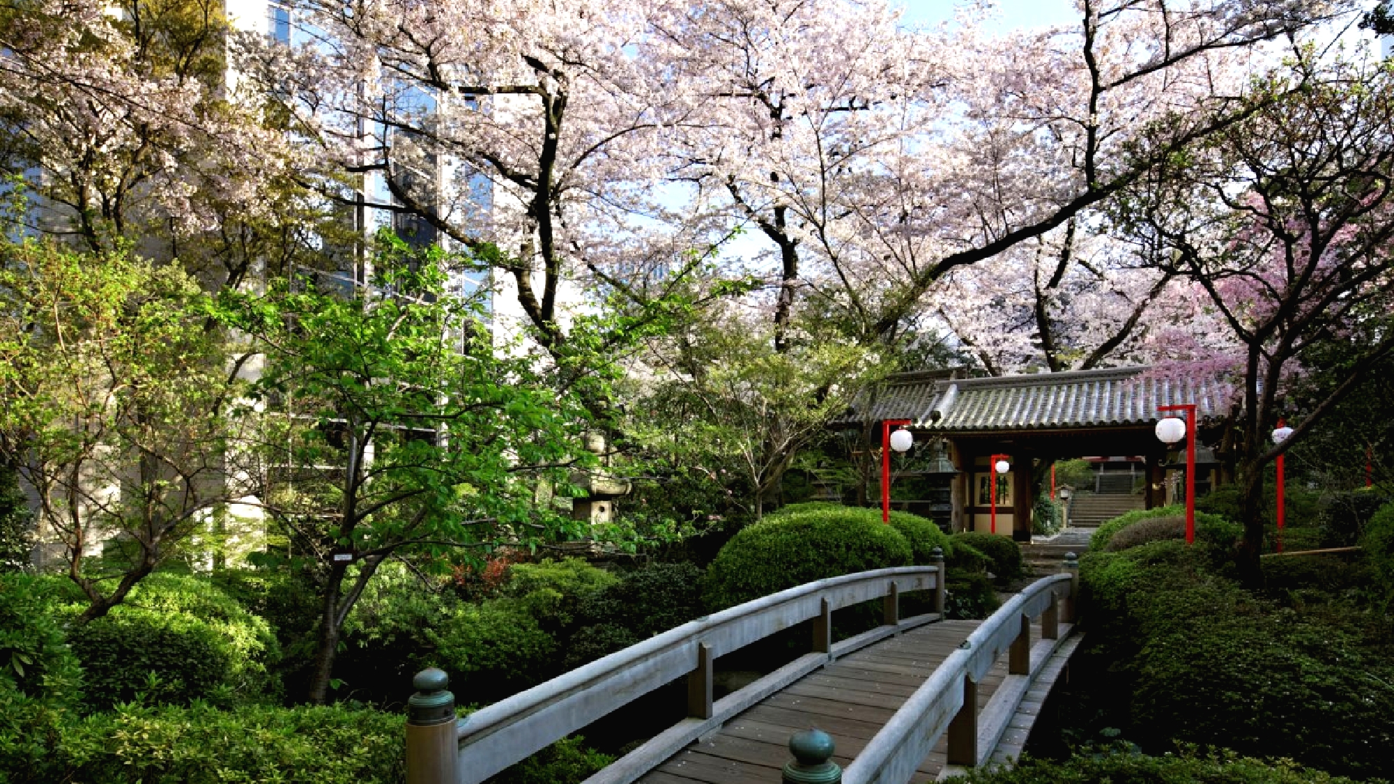 春の日本庭園