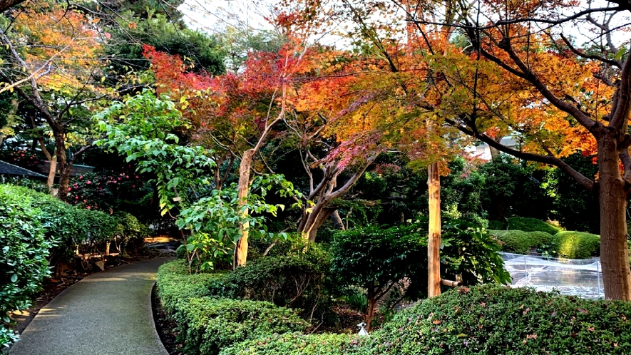 秋の日本庭園