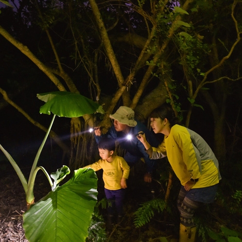 [アクティビティ] 夜のドキドキ探検隊