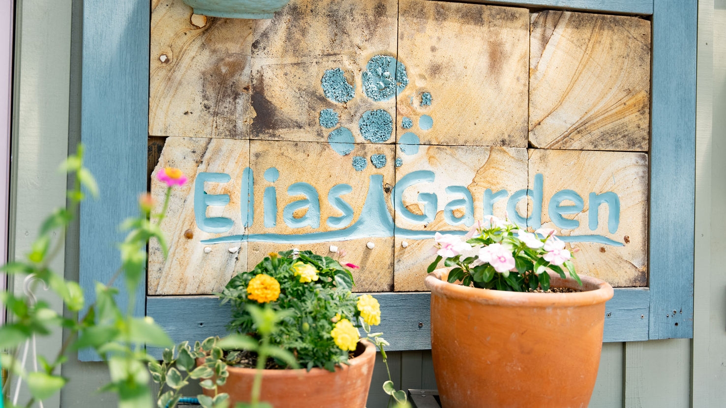 ＜素泊＞ペットOK! 一棟貸コテージは全棟庭＆BBQ設備付き♪