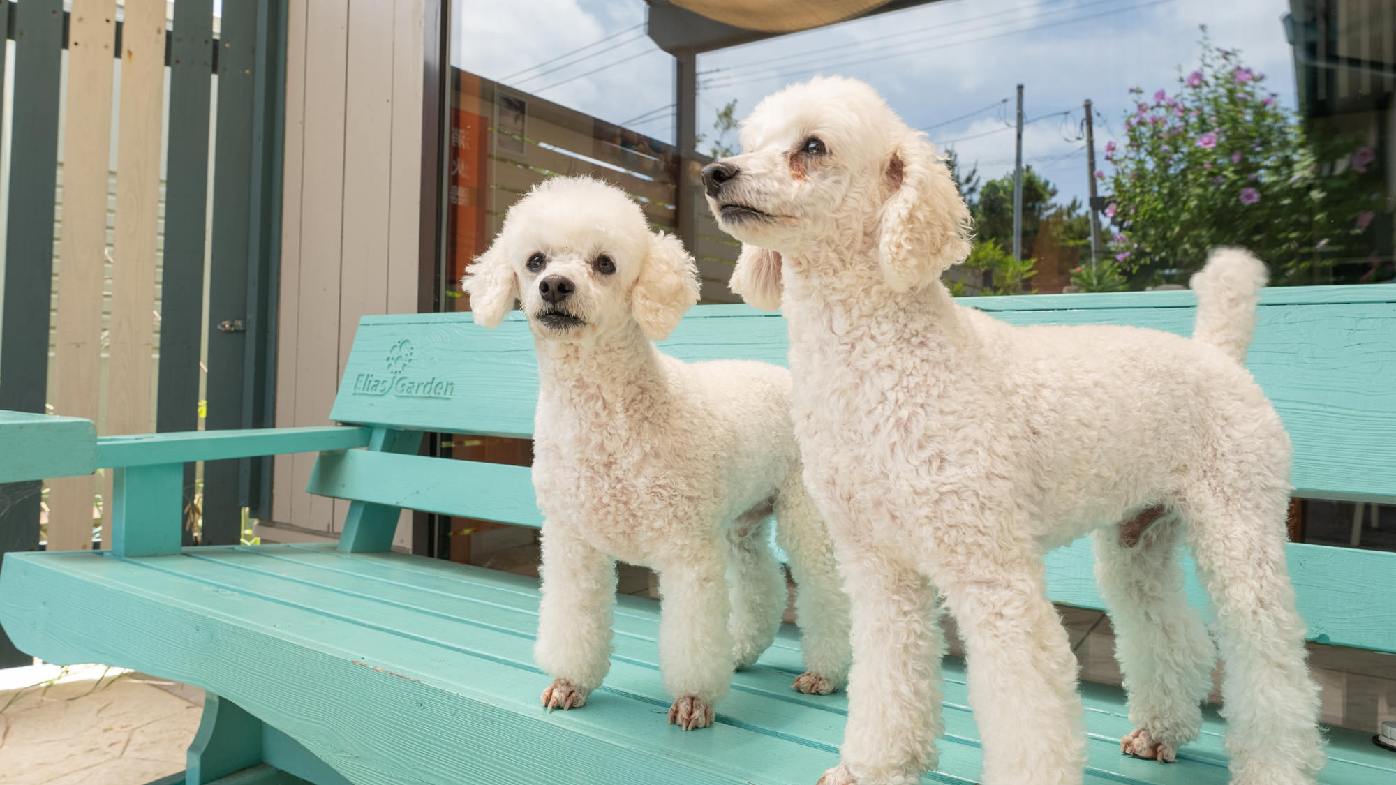 【モカビーチワン】～隠れた浜辺のビーチハウススタイル～