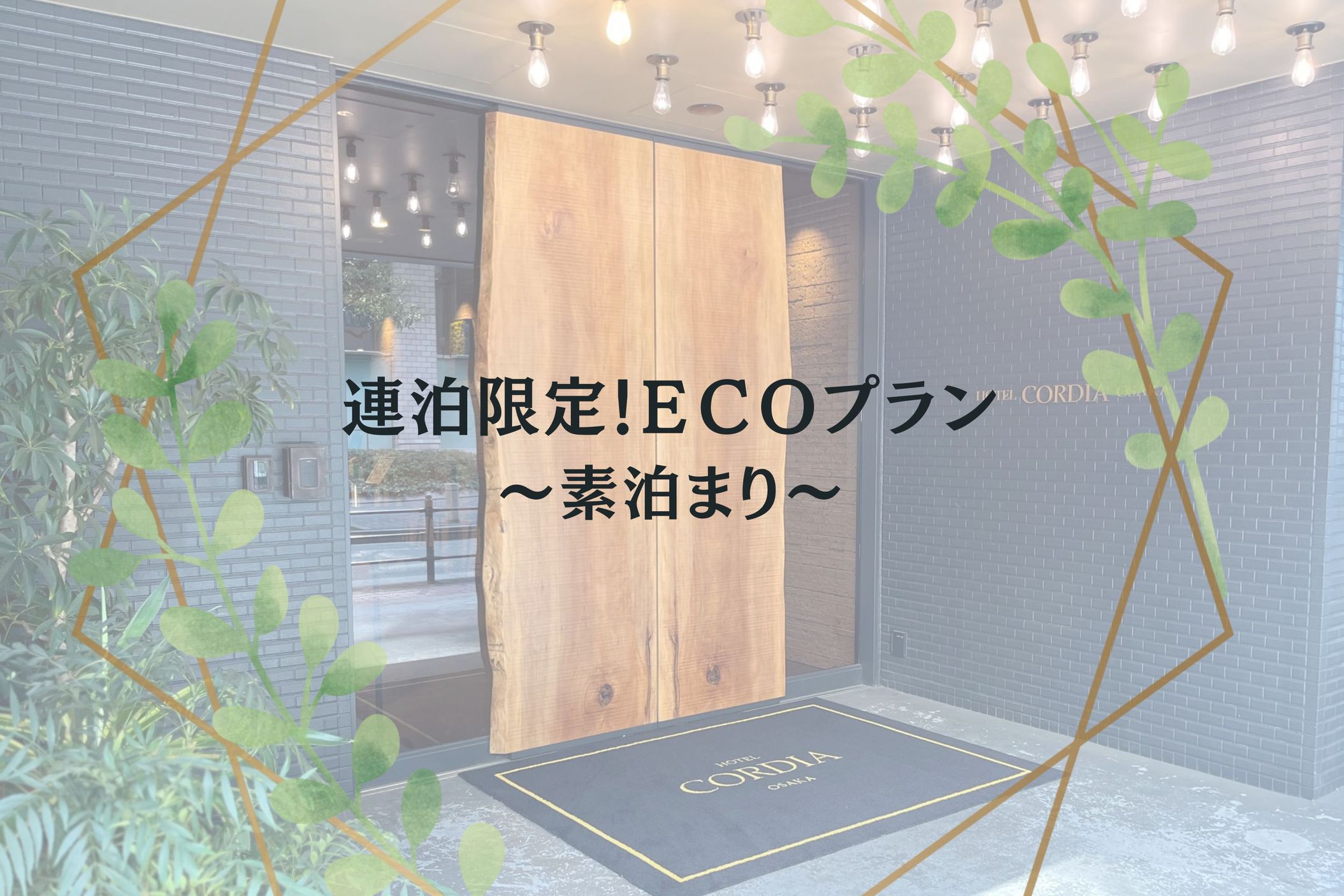 【限定】ECOプラン 〜素泊まり〜