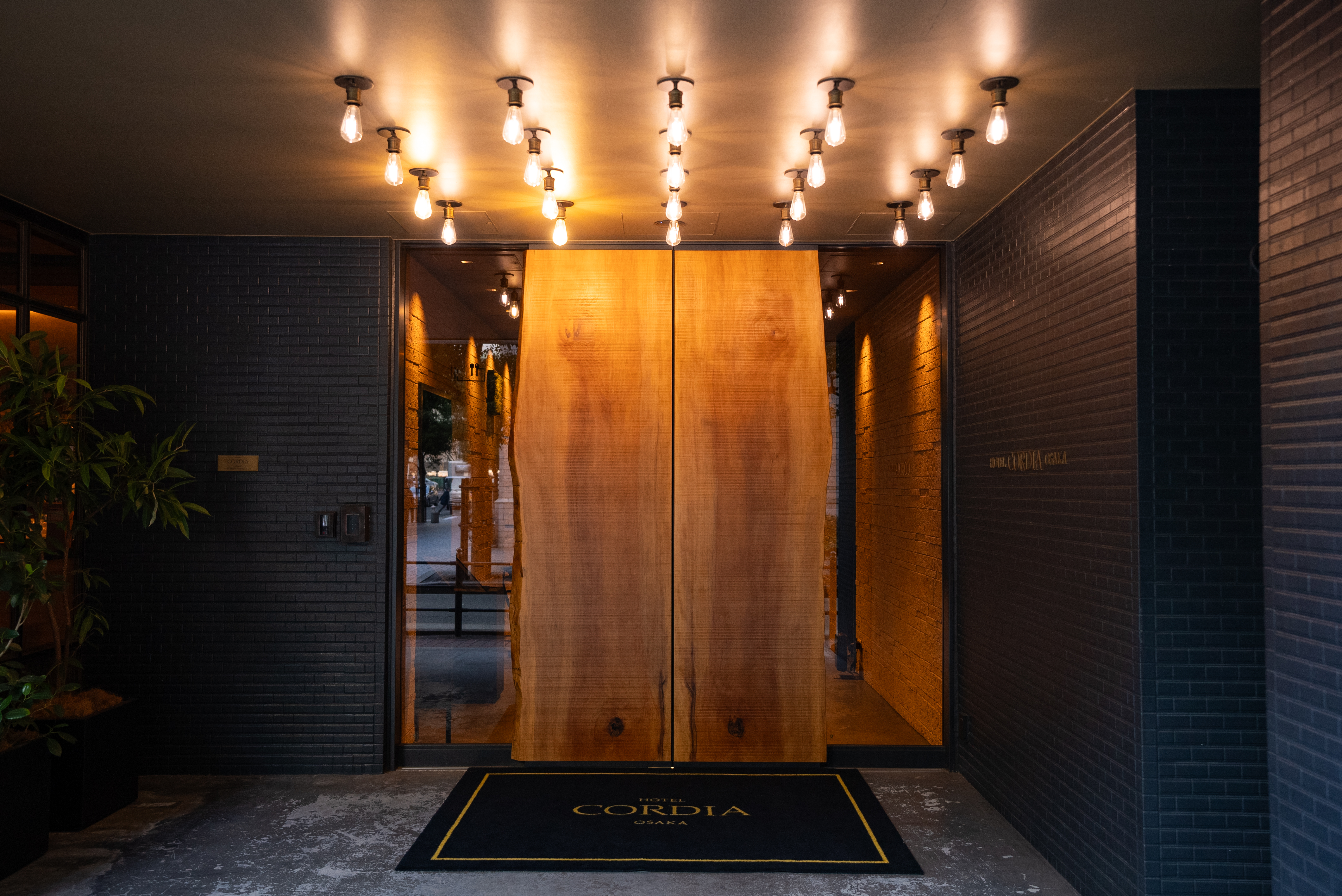 エントランス扉