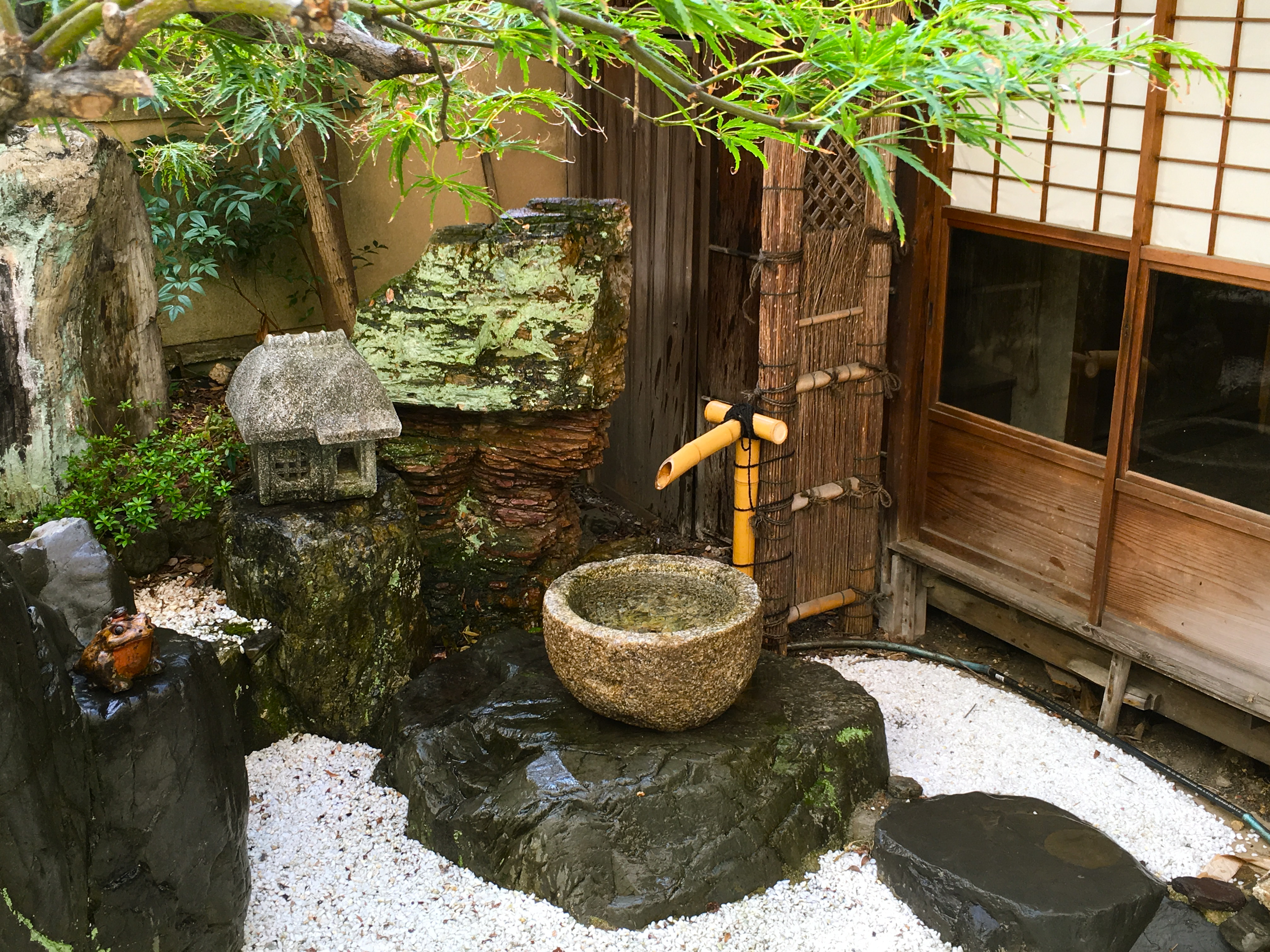 季節を感じる中庭