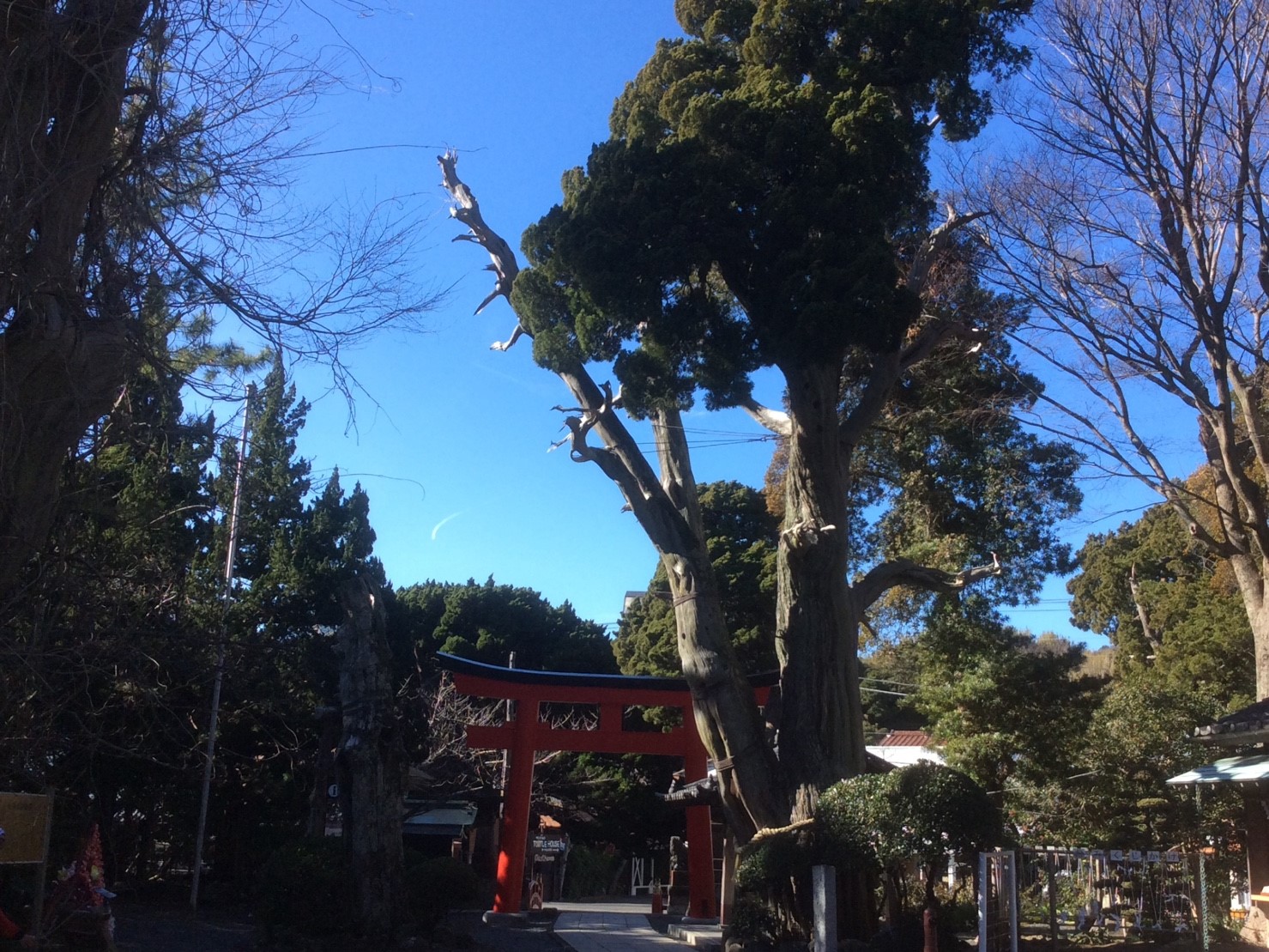 下田　白浜神社