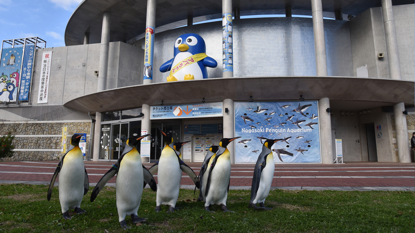 【世界のペンギン大集合！】長崎ペンギン水族館入場チケット付きプラン≪朝食付き≫