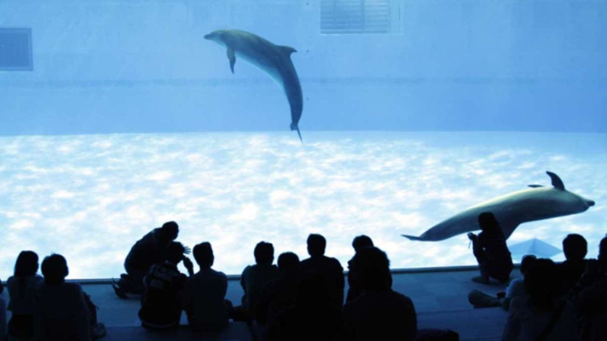 ◆周辺観光｜名古屋港水族館（公共交通機関で約45分）