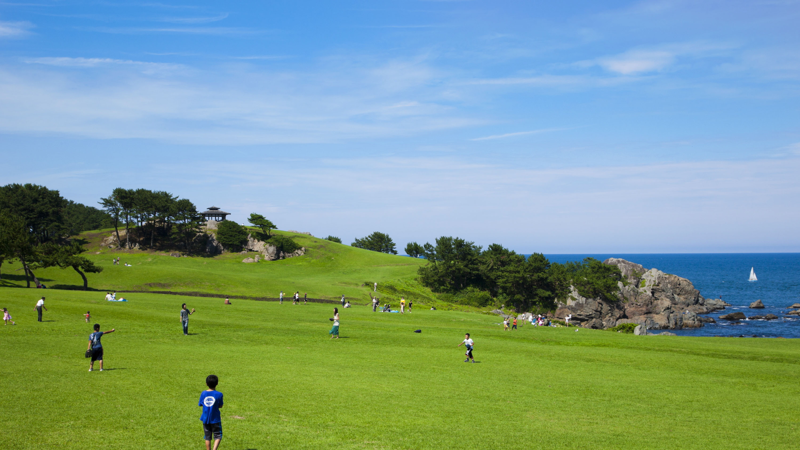 種差海岸②