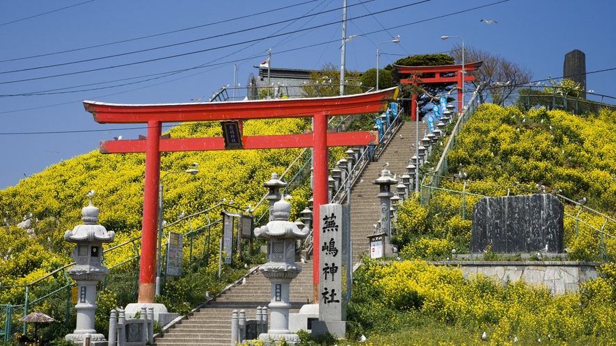 蕪島①