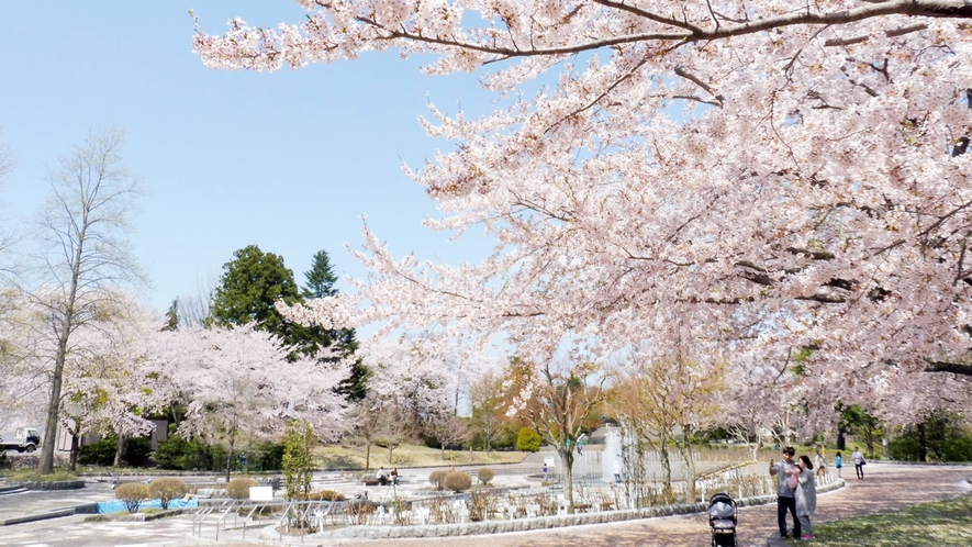 八戸公園①