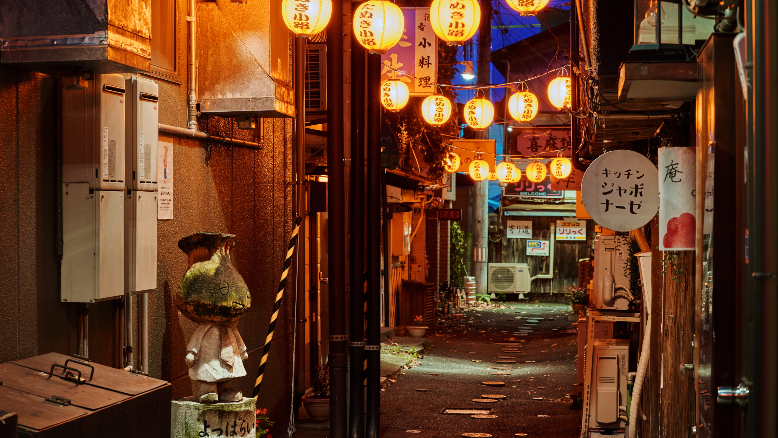 【たぬき小路：中心街に有る横丁の一つ】　画像提供：（一財）VISITはちのへ