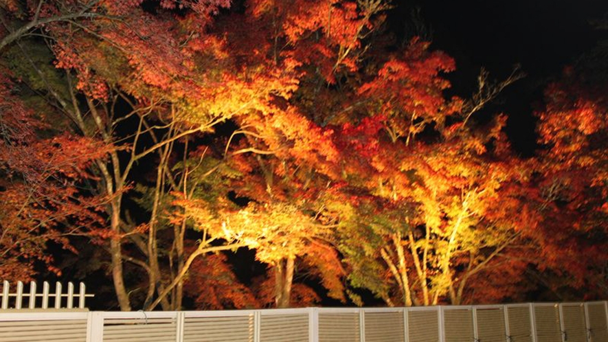 *【周辺】秋にはライトアップされた紅葉が楽しめます♪