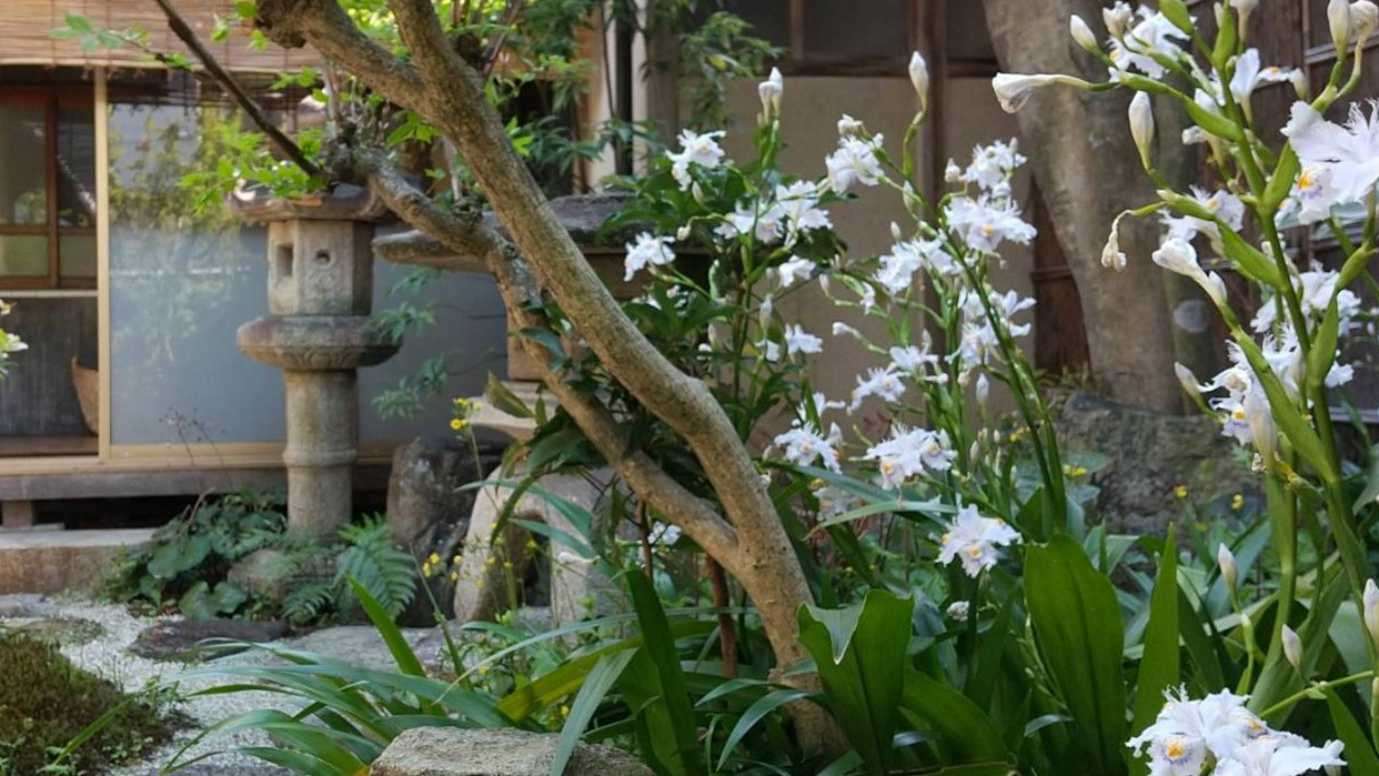 【本館】四季折々の表情を楽しんで頂ける庭。写真はシャガ。毎年5月ごろに咲きます。
