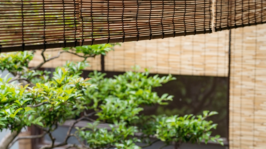 【本館】東側の庭にかかるすだれは、地元が誇る円山地区産の高級ヨシを使用しています。