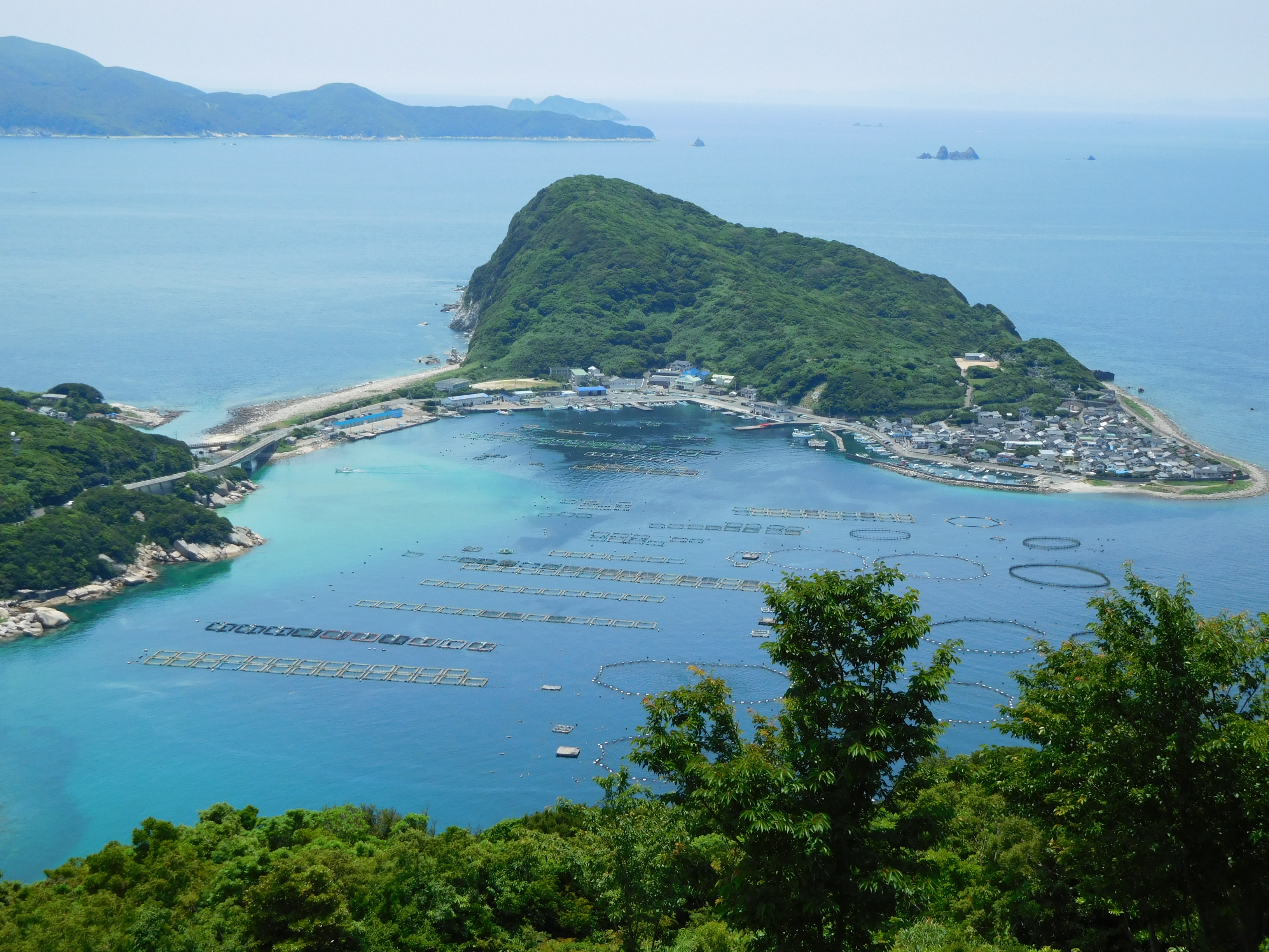 栢島　車で５０分　