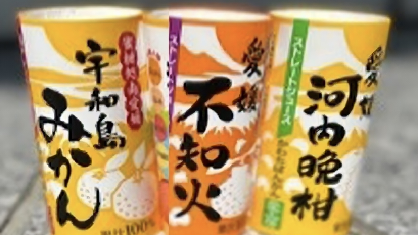 【夏季限定】愛媛のふるさと自慢！鯛づくし会席付きプラン