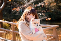 ペットについて