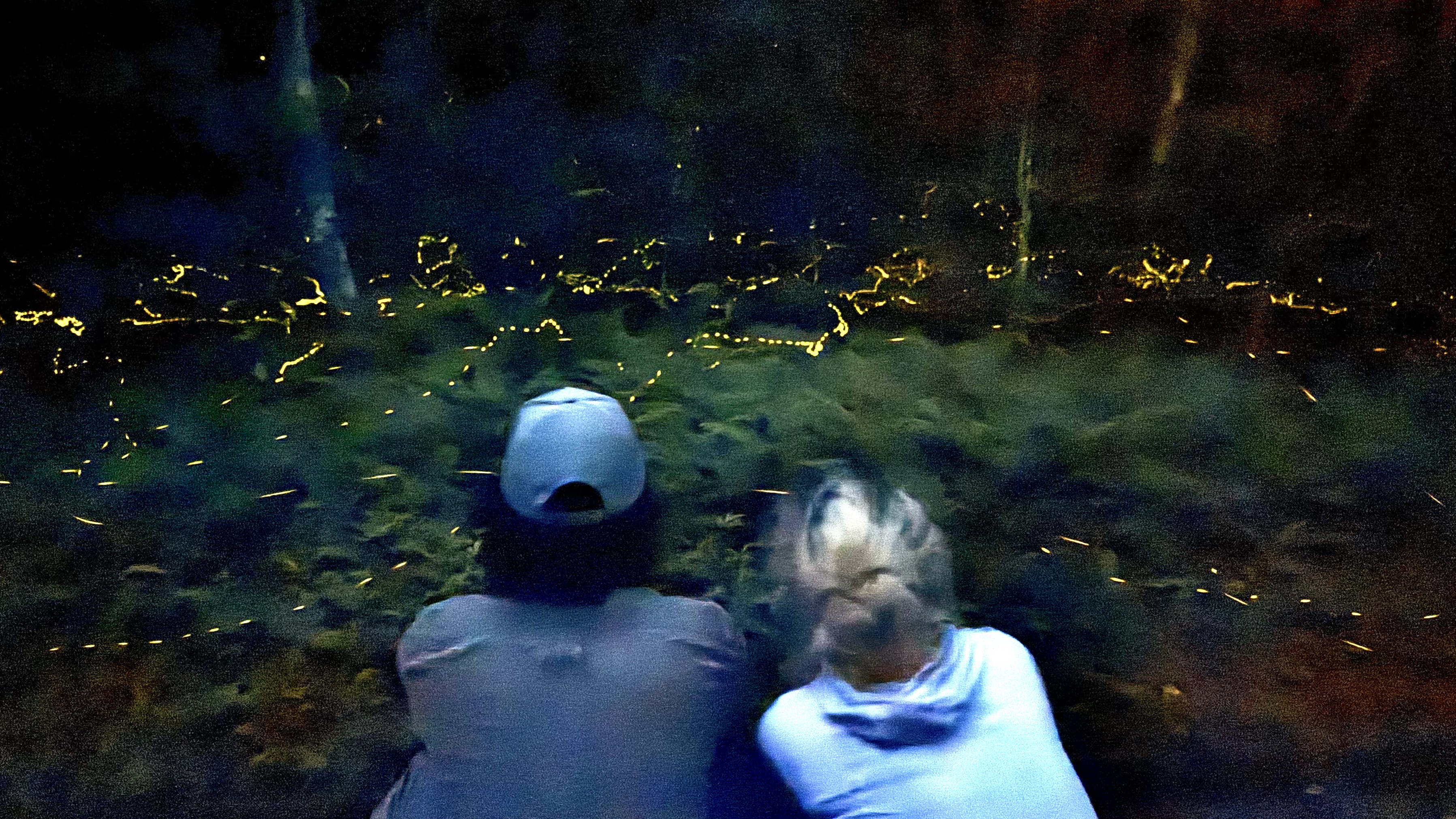 ホタルツアー②