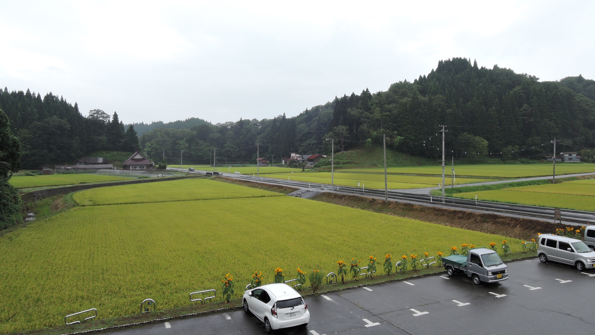 *施設周辺／静かでのどかな田んぼの風景が広がっています。