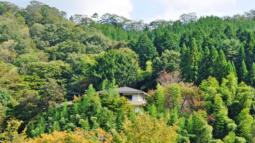 【周辺】山間部にあるイチイ荘