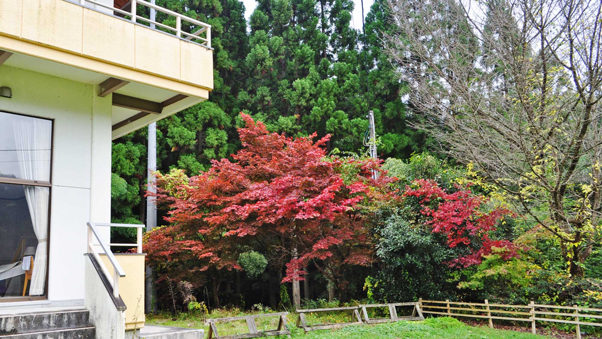 【施設周辺】周辺に緑が多いので秋は木々が色づき鮮やかになります。