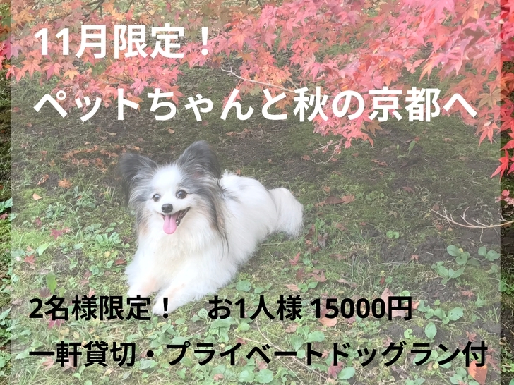2名様ならお得！！ペットと京都旅♪一棟貸切＆ドッグラン付き｜2名様限定