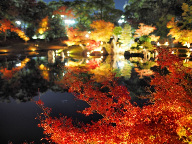 錦秋の国宝彦根城・玄宮園ライトアップ［ 夜間特別公開 ］ー紅葉が彩る幻想的な空間ー
