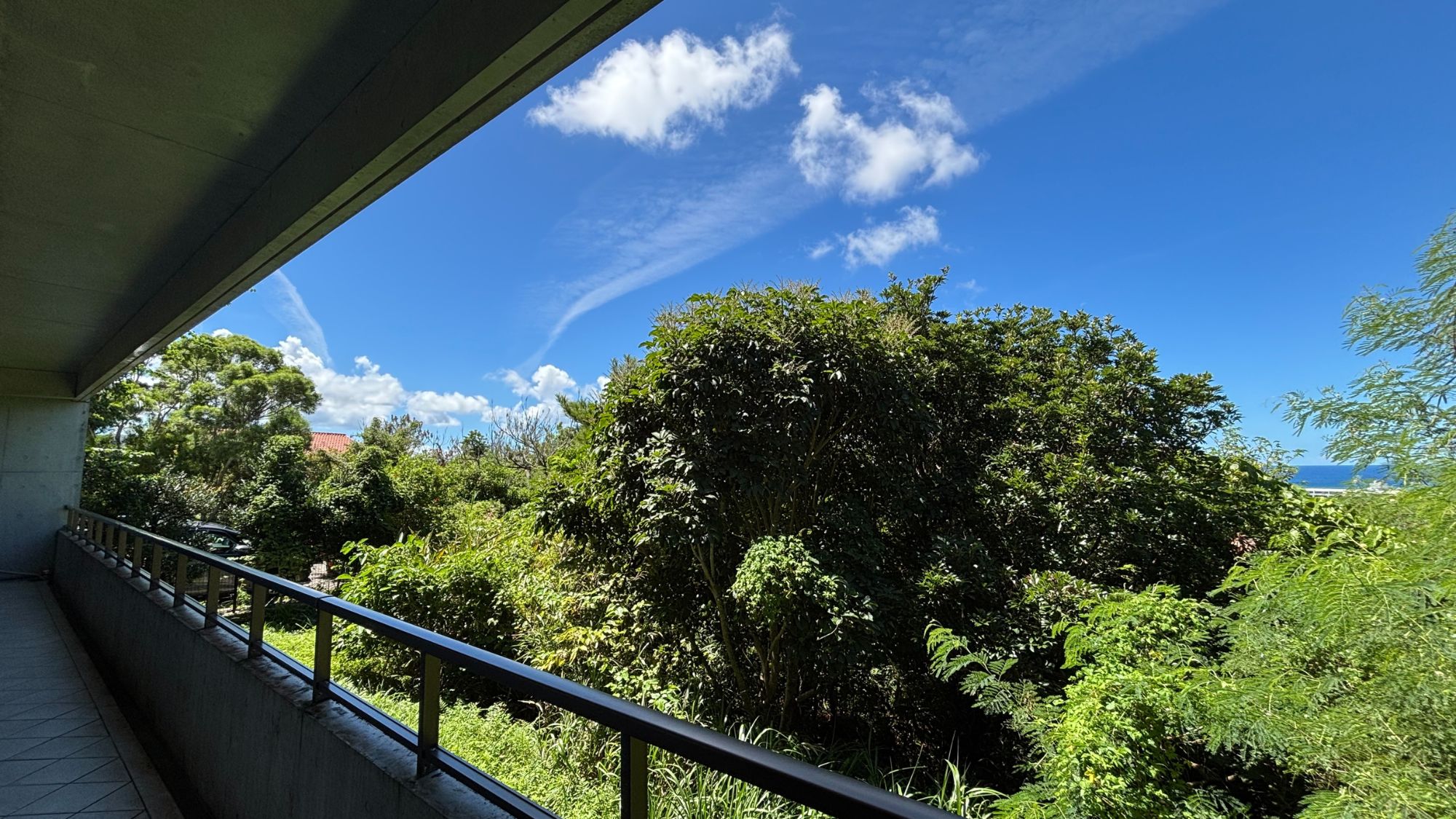 【1F - 森 - Forest -】暮らすように泊まる、フォレストフロア