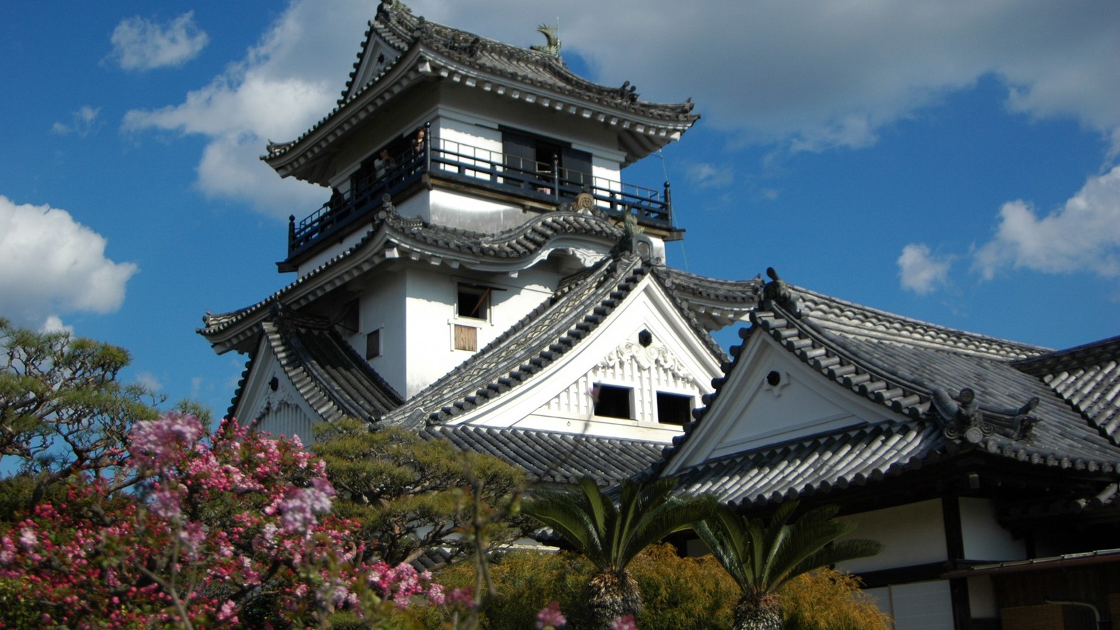 提供元：高知市　高知城：日本100名城のひとつ