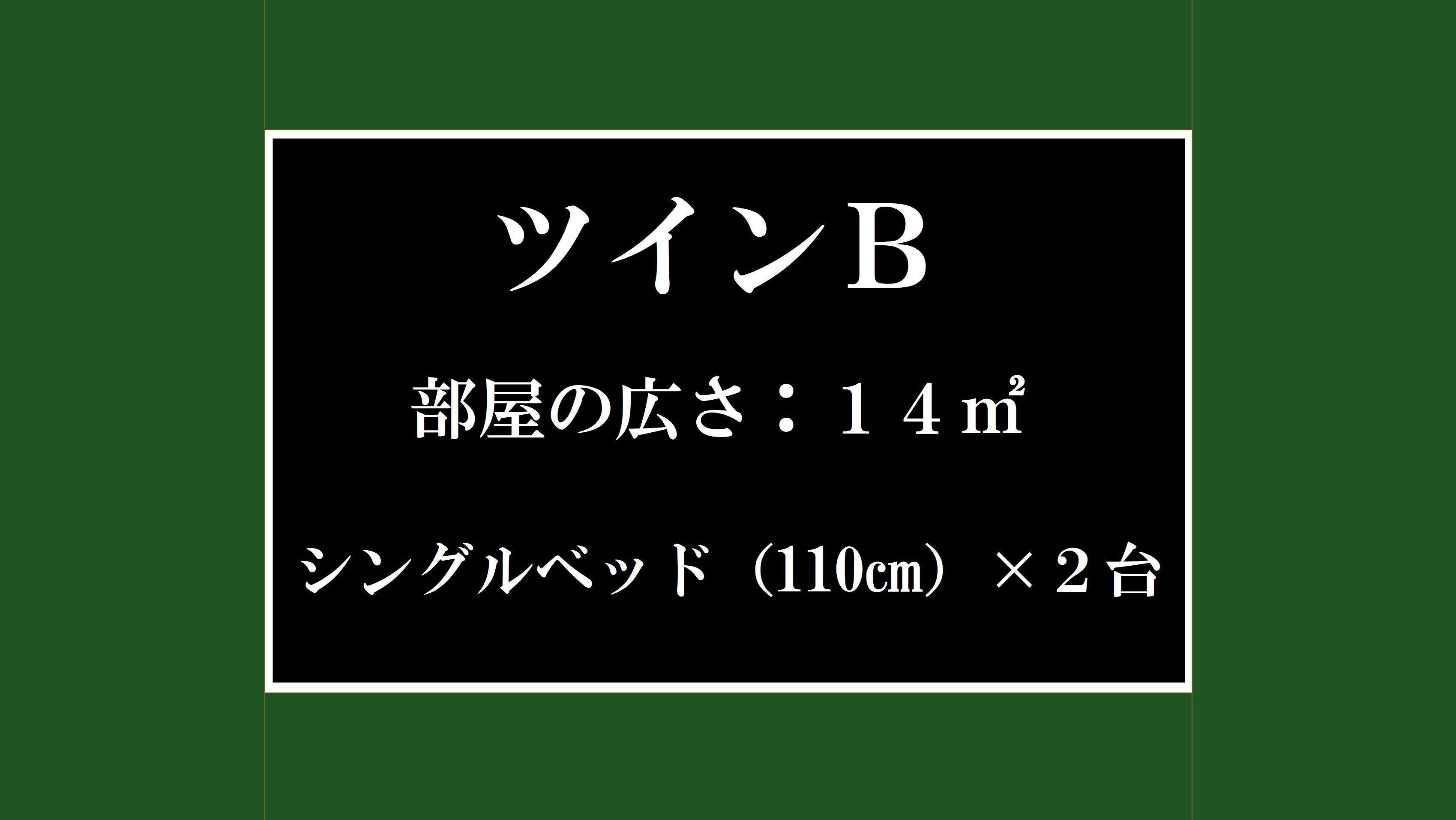 ツインBタイプのご紹介