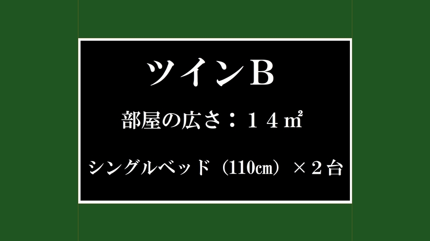 ツインBタイプのご紹介