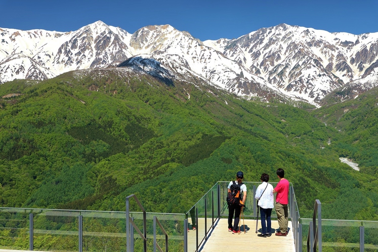 人気の岩岳マウンテンハーバー＆感動の北アルプス絶景！岩岳ゴンドラ往復券付+人気の和洋中バイキング♪