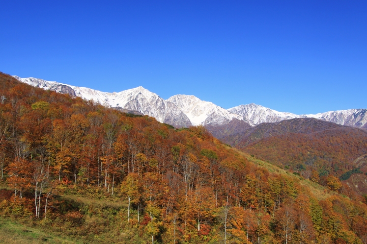 【10月】黒菱林道紅葉と白馬三山