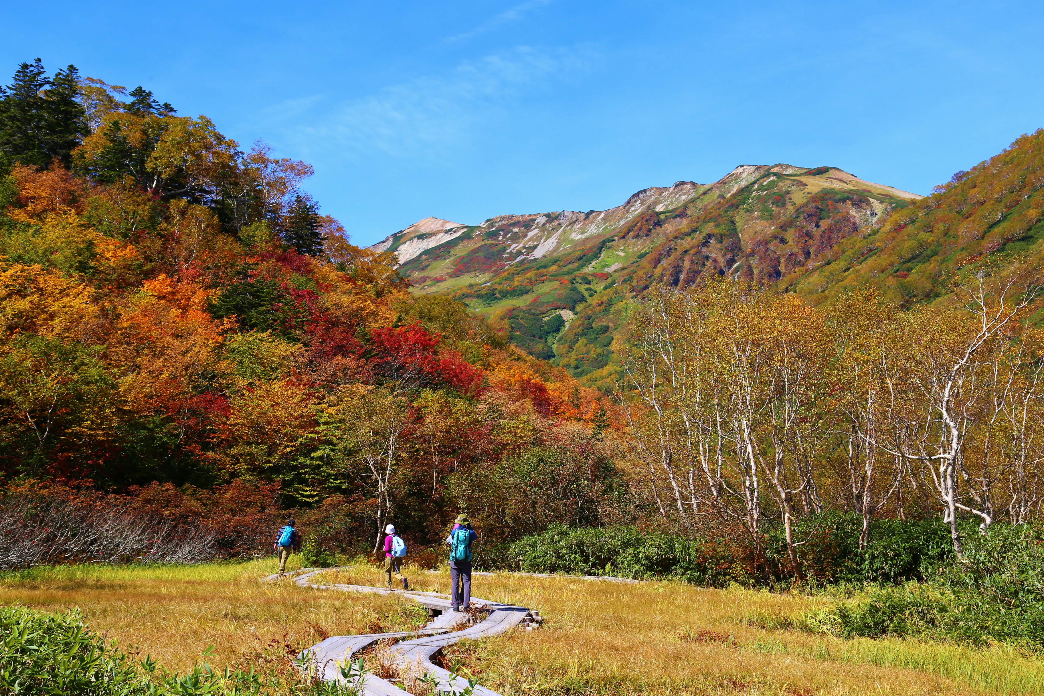 紅葉の栂池自然園